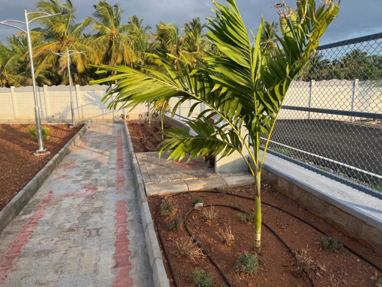 Projects whatsapp image 2026 06 05 at 5.02.25 pm (2)